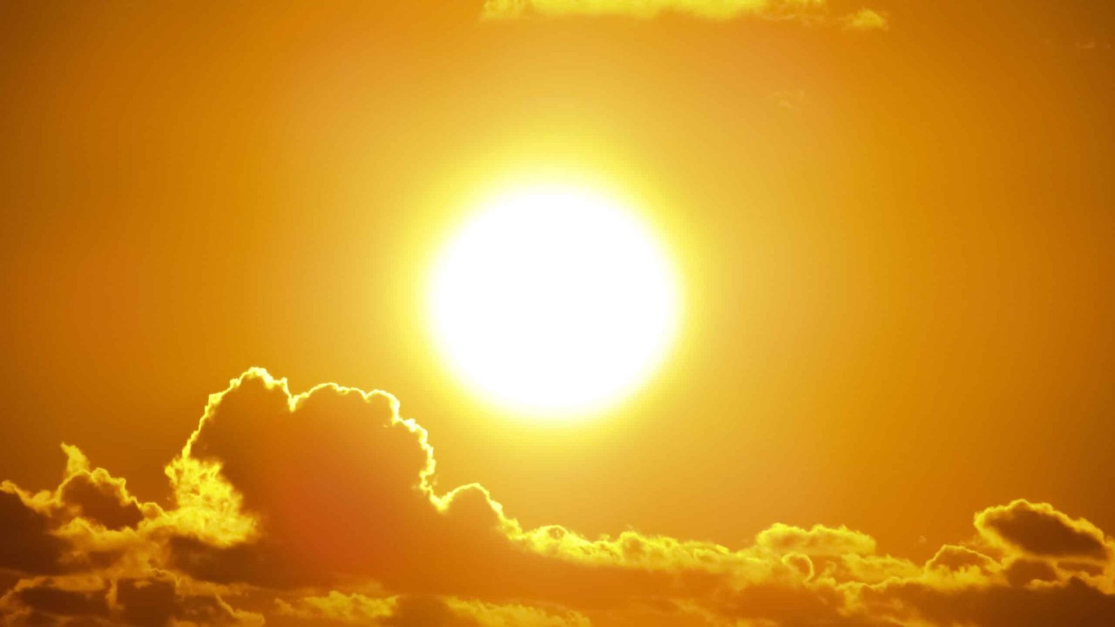 Até 2070, calor e umidade podem tornar áreas do Brasil inabitáveis