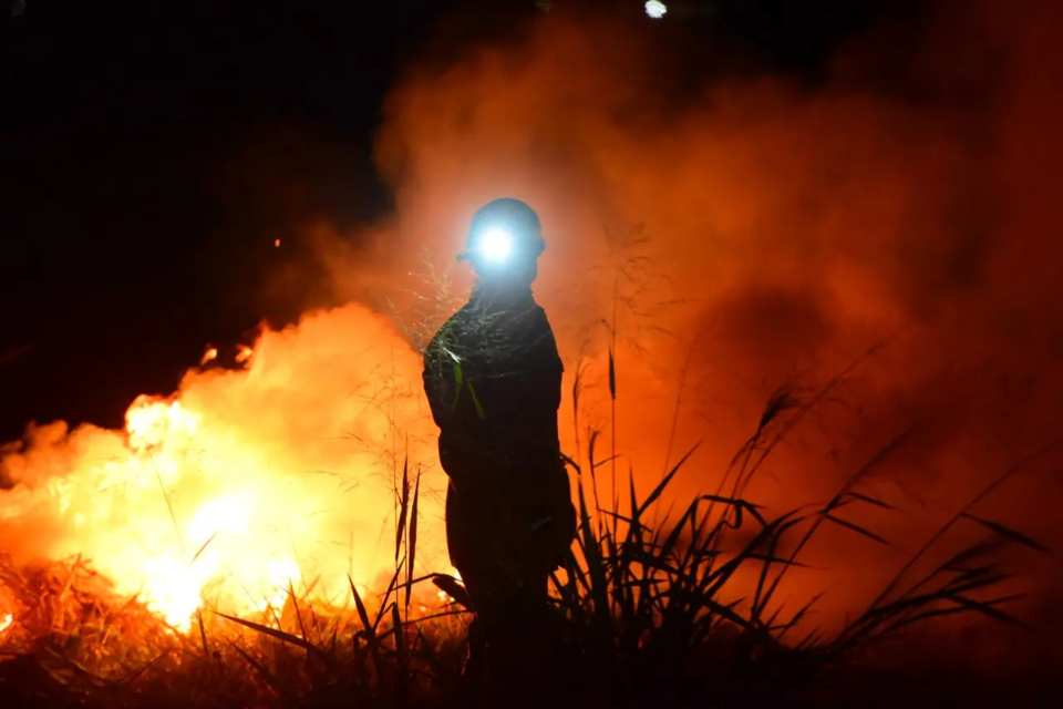 Incêndio em Terra Ronca já destruiu mais de 13 mil hectares e é o maior em andamento no Brasil
