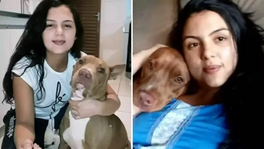 Mulher de 31 anos morre atacada pelo próprio pitbull em Goiás