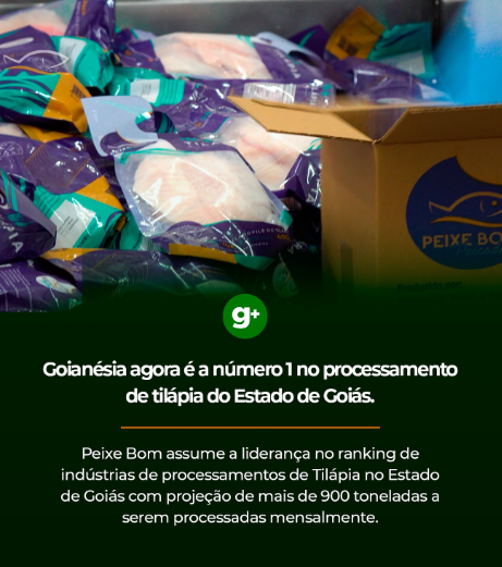 Goianésia ganha destaque nacional após a Peixe Bom indústria de pescados da cidade,