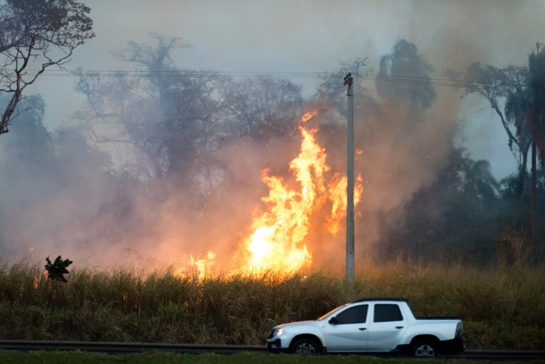 São Paulo tem maior número de queimadas até agosto desde 1998