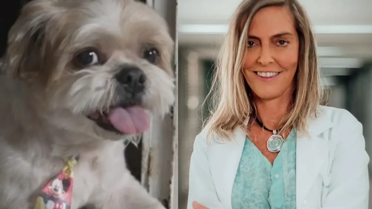 Cachorro com paralisia volta a andar depois de receber Polilaminina