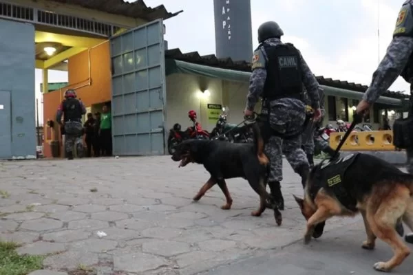 Mossoró: cão farejador chega ao esgotamento físico nas buscas