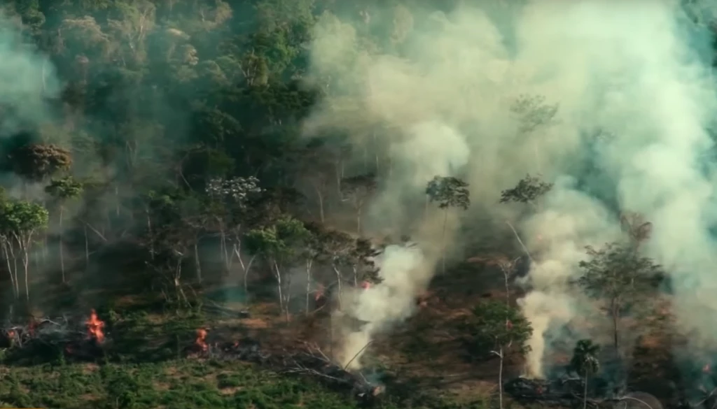 Queimadas na Amazônia sobem 154% e batem recorde sob Lula