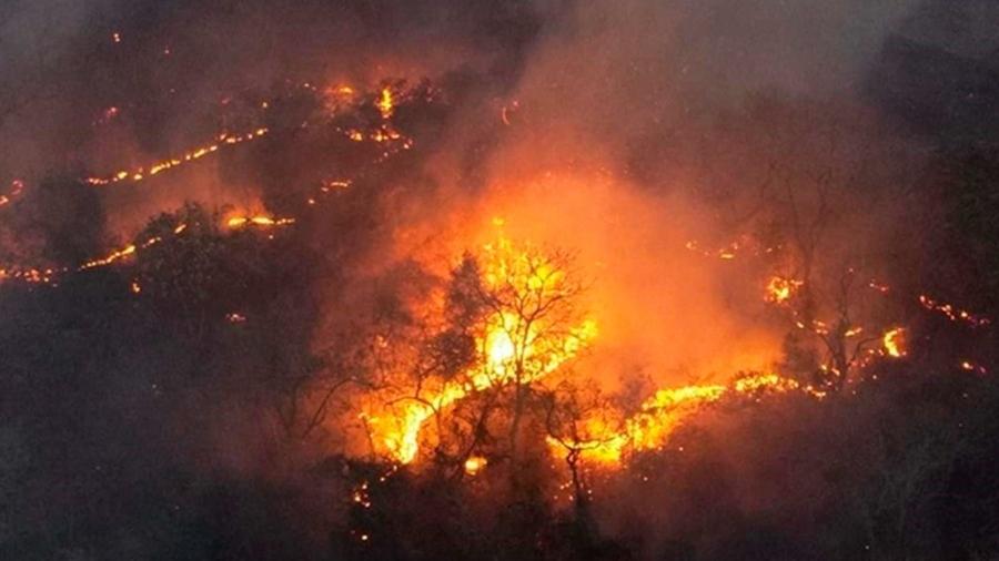 Pantanal em chamas: Mato Grosso do Sul decreta emergência após incêndios florestais