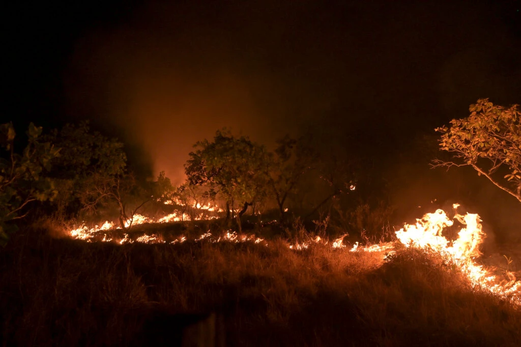 Queimada recorde em 2024 destruiu 30 milhões de hectares