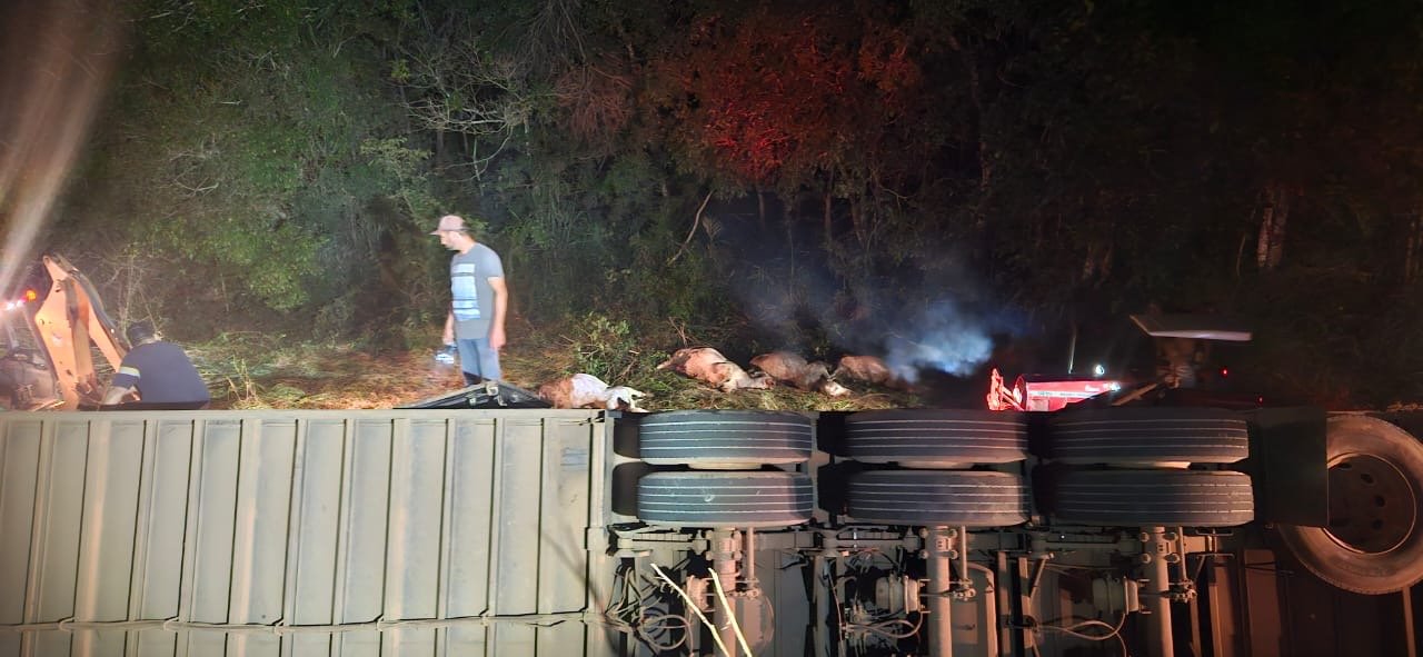 Tragédia na pista: carreta tomba, mata 14 bovinos e fere outros 22